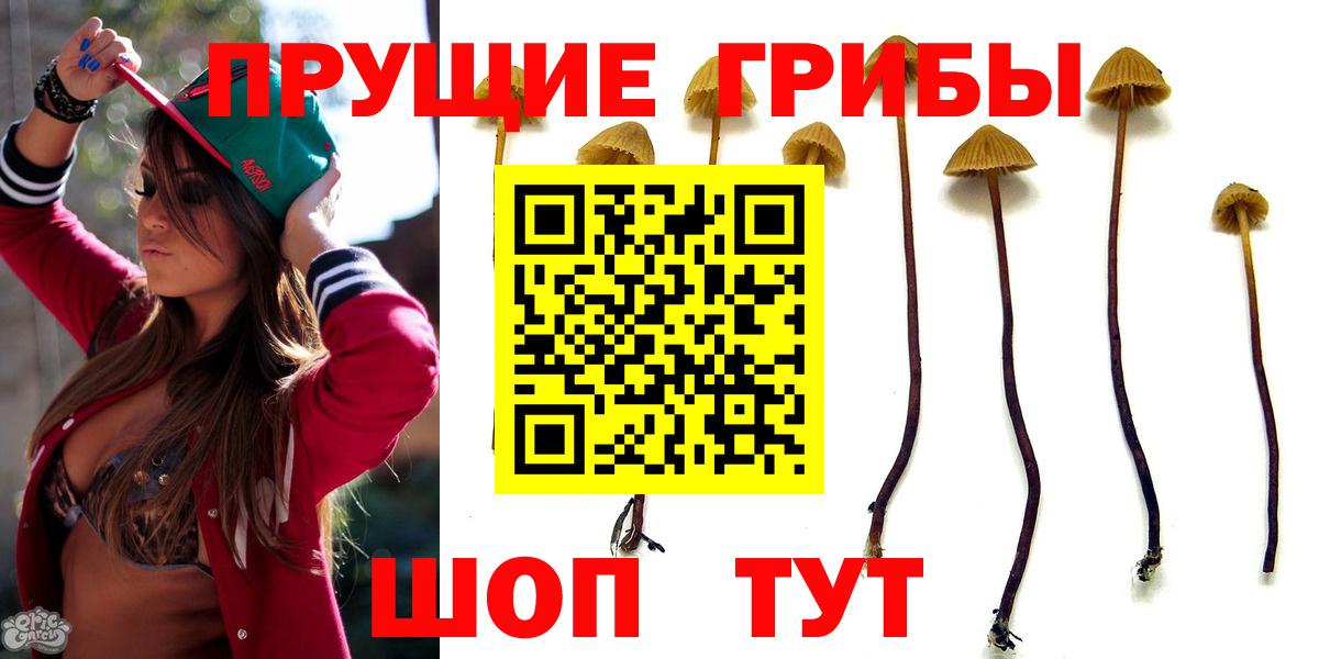 Калининград  цена   Вход с VPN  Псилоцибиновые грибы ЛСД 